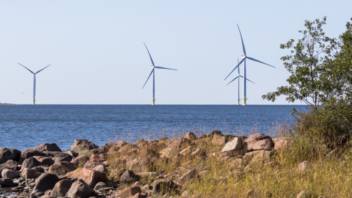 wind-farm